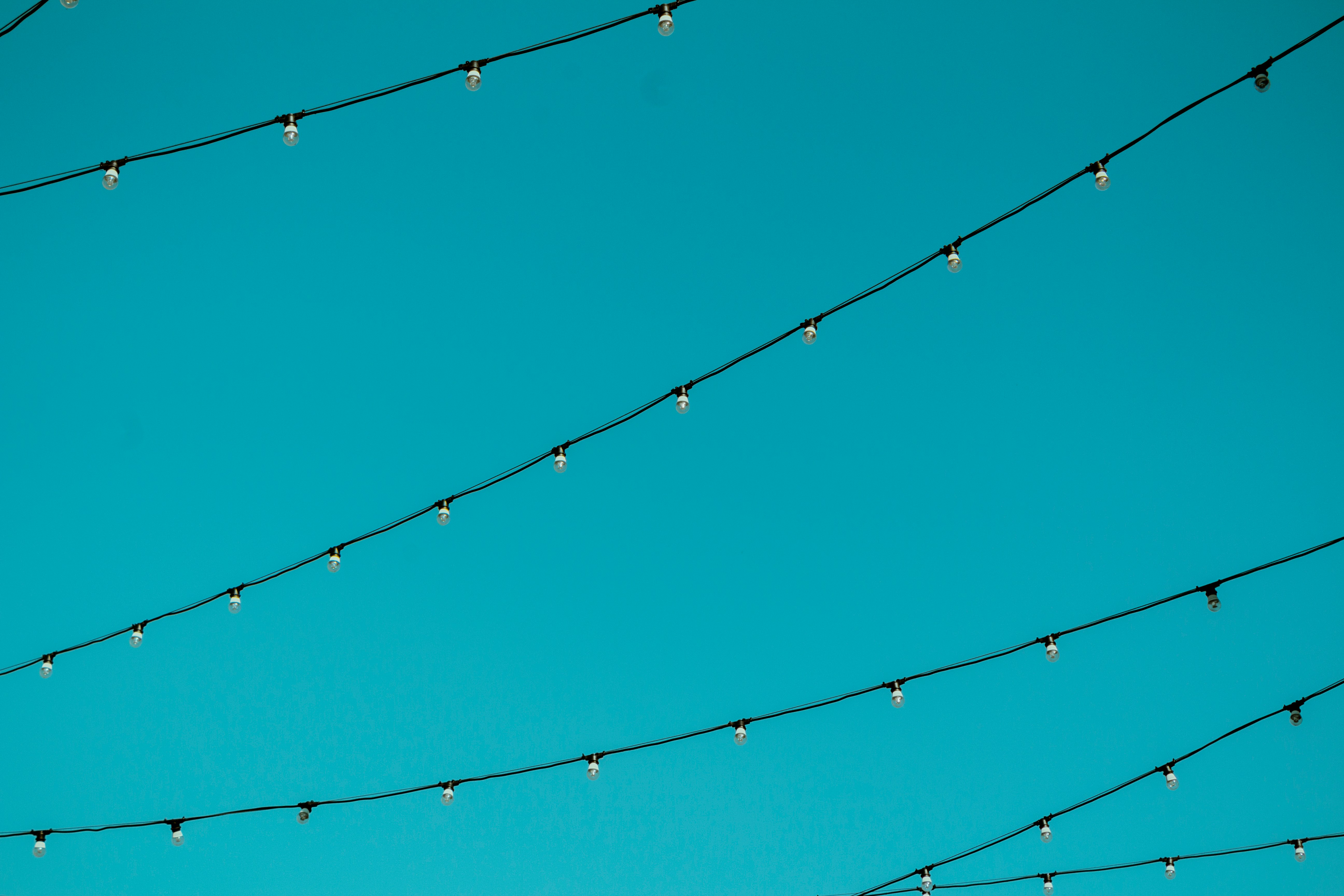 worm's eye view photography of black string lights